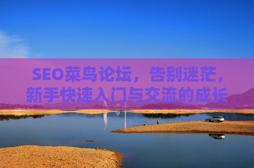 SEO菜鸟论坛,告别迷茫,新手快速入门与交流的成长家园 SEO菜鸟论坛,告别迷茫,新手快速入门与交流的成长家园