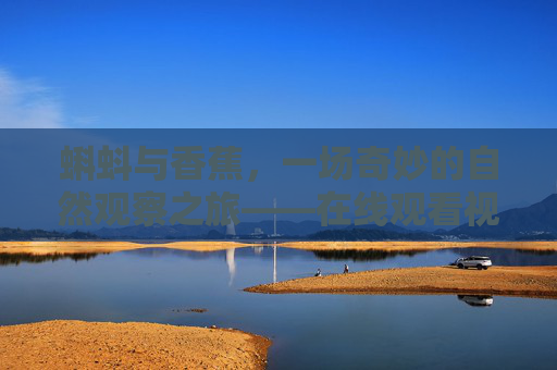 蝌蚪与香蕉，一场奇妙的自然观察之旅——在线观看视频指南