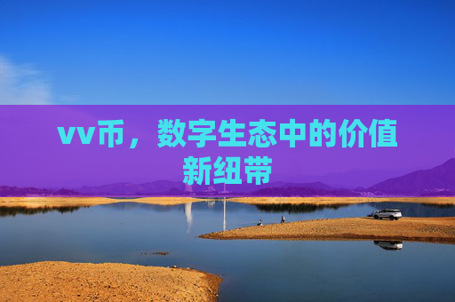 vv币,数字生态中的价值新纽带 vv币,数字生态中的价值新纽带