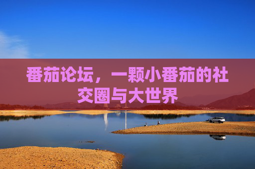 番茄论坛，一颗小番茄的社交圈与大世界