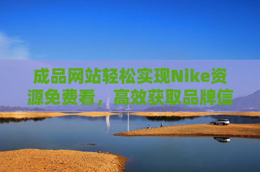 成品网站轻松实现Nike资源免费看，高效获取品牌信息的实用指南