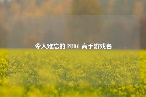 令人难忘的 PUBG 高手游戏名