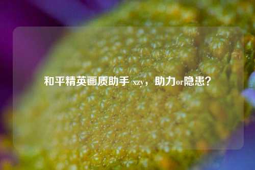和平精英画质助手 xzy，助力or隐患？
