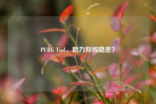 PUBG Tool，助力抑或隐患？
