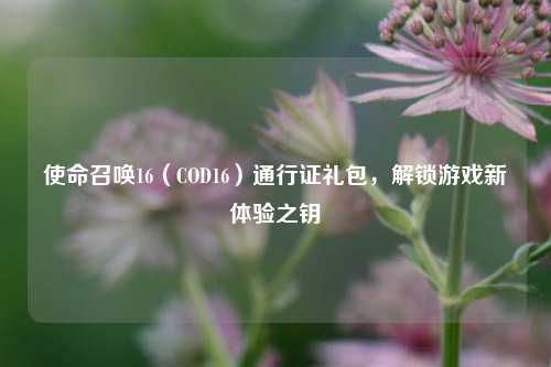 使命召唤16（COD16）通行证礼包，解锁游戏新体验之钥