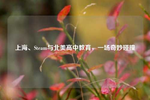 上海、Steam与北美高中教育，一场奇妙碰撞