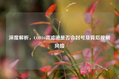 深度解析，COD16调滤镜是否会封号及背后规则风险
