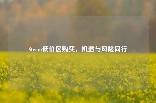 Steam低价区购买，机遇与风险同行