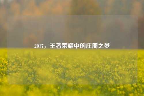 2017，王者荣耀中的庄周之梦