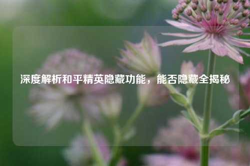 深度解析和平精英隐藏功能，能否隐藏全揭秘