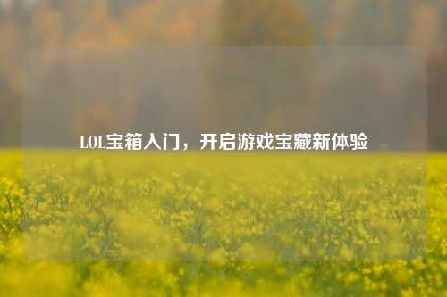 LOL宝箱入门，开启游戏宝藏新体验