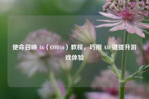使命召唤 16（COD16）教程，巧用 Alt 键提升游戏体验