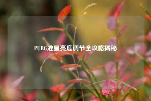PUBG准星亮度调节全攻略揭秘
