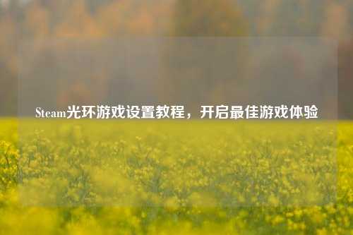 Steam光环游戏设置教程，开启最佳游戏体验