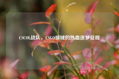 CSCOL战队，CSGO领域的热血逐梦征程