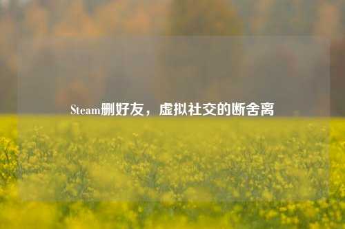 Steam删好友，虚拟社交的断舍离