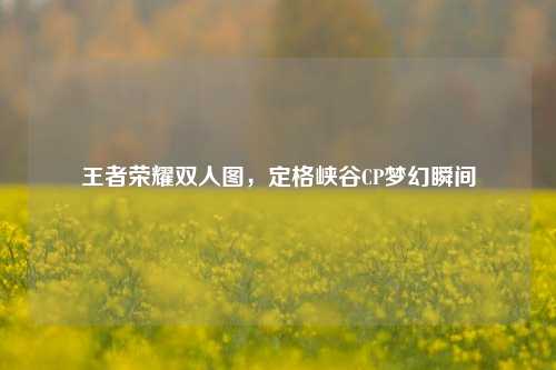 王者荣耀双人图，定格峡谷CP梦幻瞬间