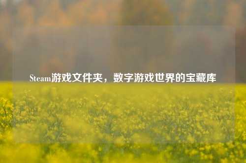 Steam游戏文件夹，数字游戏世界的宝藏库