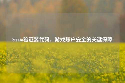 Steam验证器代码，游戏账户安全的关键保障
