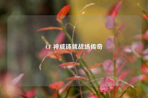CF 神威铸就战场传奇