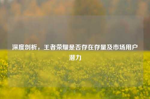 深度剖析，王者荣耀是否存在存量及市场用户潜力