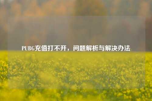 PUBG充值打不开，问题解析与解决办法
