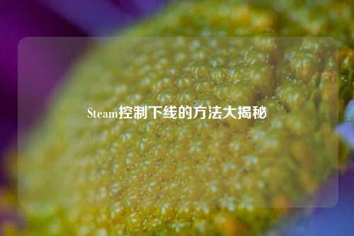 Steam控制下线的方法大揭秘