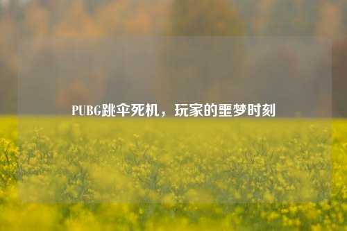 PUBG跳伞死机，玩家的噩梦时刻