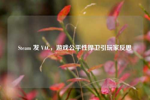 Steam 发 VAC，游戏公平性捍卫引玩家反思