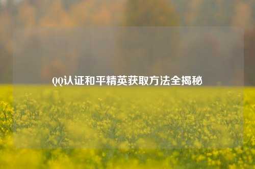 QQ认证和平精英获取方法全揭秘