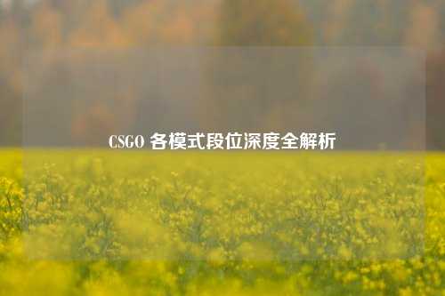 CSGO 各模式段位深度全解析