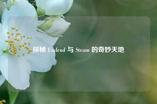 探秘 Umfend 与 Steam 的奇妙天地