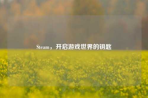 Steam，开启游戏世界的钥匙