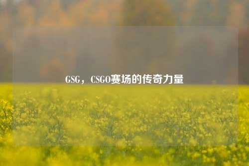 GSG，CSGO赛场的传奇力量