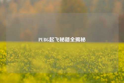PUBG起飞秘籍全揭秘