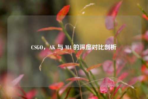 CSGO，AK 与 M4 的深度对比剖析