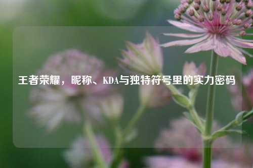 王者荣耀，昵称、KDA与独特符号里的实力密码