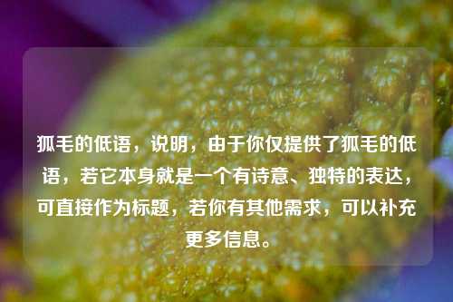 狐毛的低语,说明,由于你仅提供了狐毛的低语,若它本身就是一个有诗意、独特的表达,可直接作为标题,若你有其他需求,可以补充更多信息。