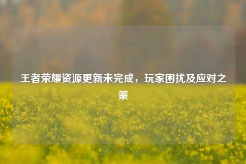 王者荣耀资源更新未完成，玩家困扰及应对之策