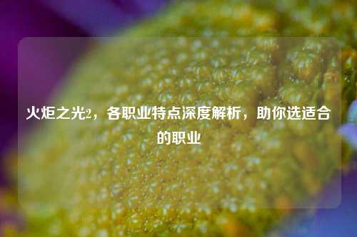 火炬之光2，各职业特点深度解析，助你选适合的职业