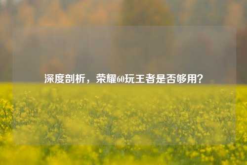 深度剖析,荣耀60玩王者是否够用?