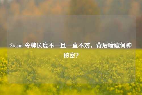 Steam 令牌长度不一且一直不对,背后暗藏何种秘密?