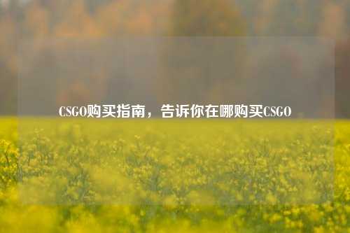 CSGO购买指南,告诉你在哪购买CSGO