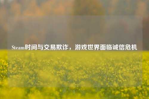 Steam时间与交易欺诈,游戏世界面临诚信危机
