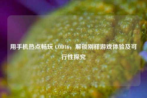 用手机热点畅玩 COD16,解锁别样游戏体验及可行性探究