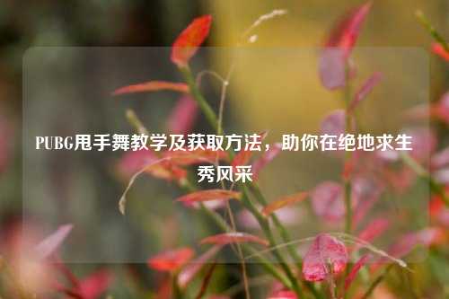 PUBG甩手舞教学及获取方法,助你在绝地求生秀风采