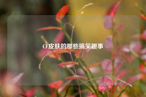 CF皮肤的那些搞笑趣事
