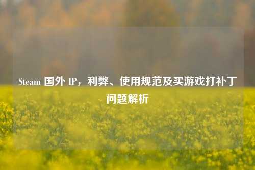 Steam 国外 IP,利弊、使用规范及买游戏打补丁问题解析