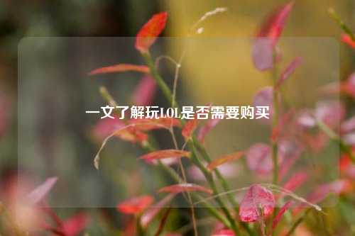 一文了解玩LOL是否需要购买