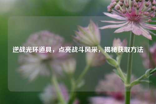 逆战光环道具，点亮战斗风采，揭秘获取方法